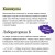 Закрытая школа. Квест 2