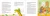 5.webp