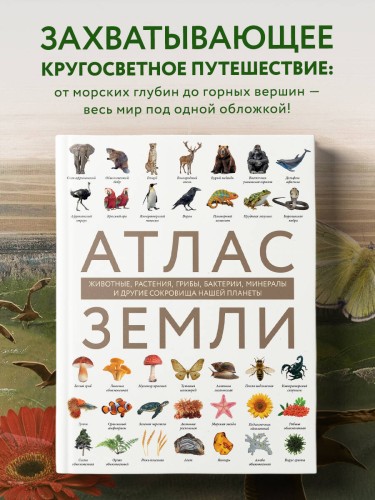 Атлас Земли. Животные, растения, грибы, бактерии, минералы и другие сокровища нашей планеты