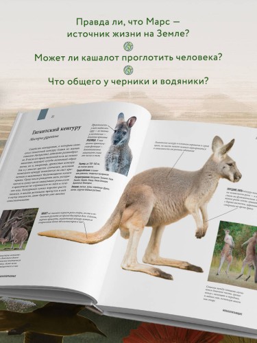 Атлас Земли. Животные, растения, грибы, бактерии, минералы и другие сокровища нашей планеты