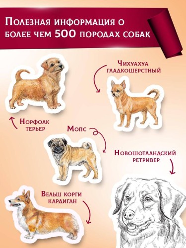 Породы собак Энциклопедия (первая обложка с борзой)