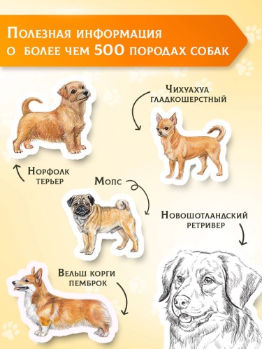 Породы собак Энциклопедия (вторая обложка с терьером)