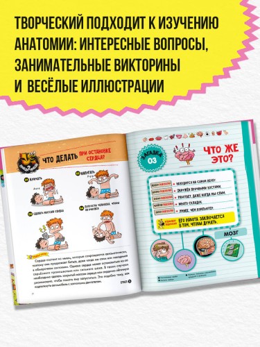 Тело человека