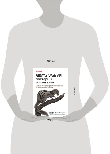 RESTful Web API паттерны и практики