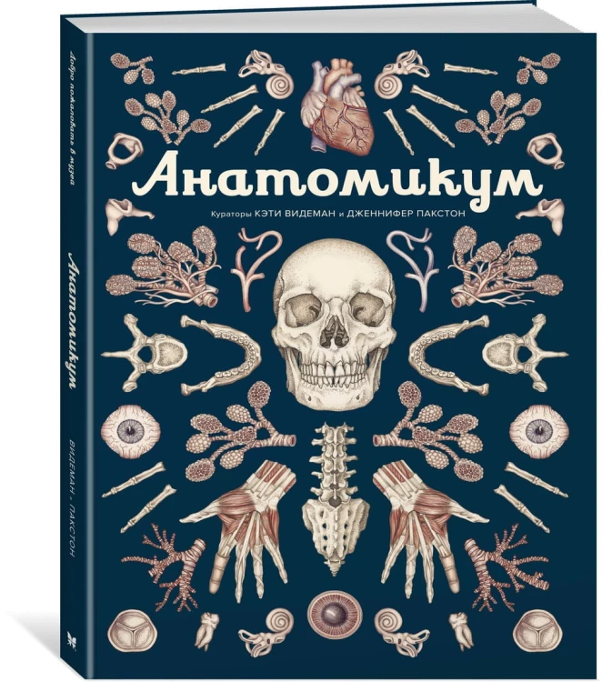 Анатомикум