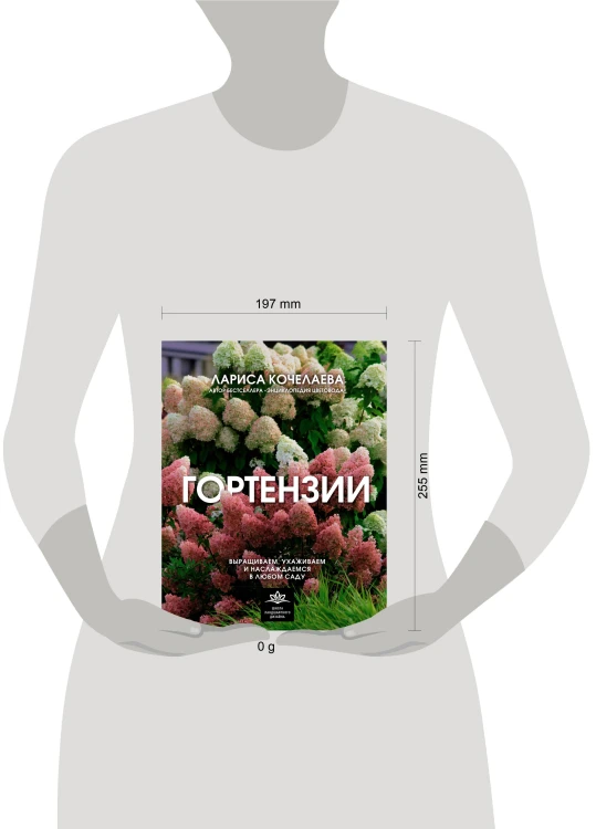 Гортензии. Выращиваем, ухаживаем и наслаждаемся в любом саду