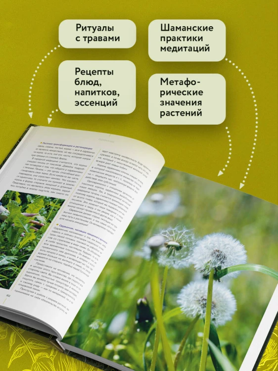 Шаманское травничество. Сила растений. Рецепты наших предков