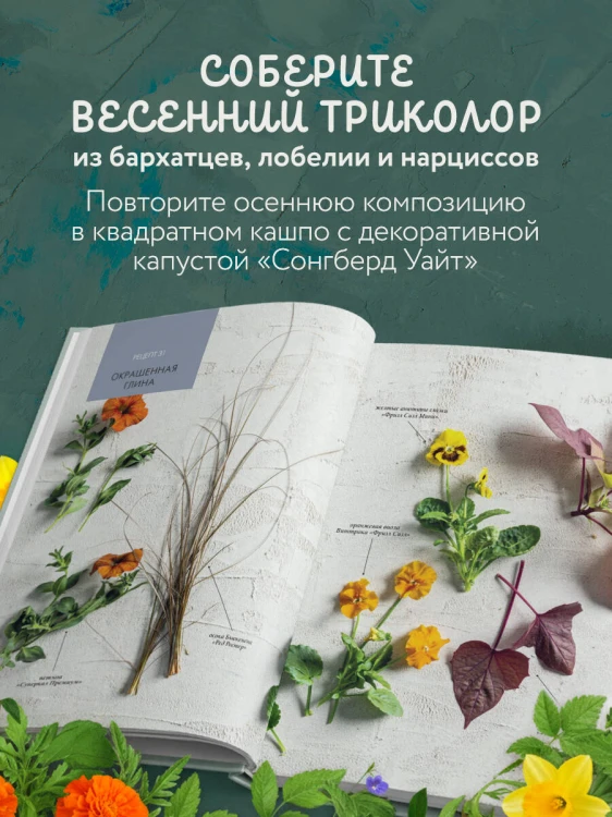 Магия контейнерного сада. Цветочный дизайн террас, веранд, балконов, патио и маленьких садов