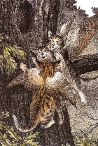 кошки.jpg