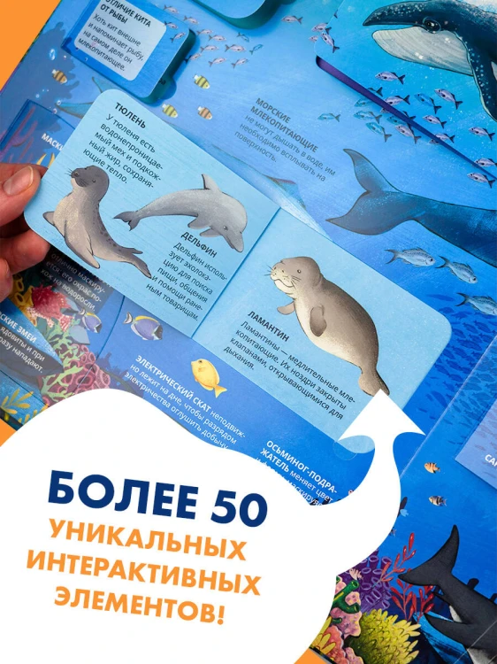 Все тайны подводного мира