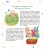 6.webp