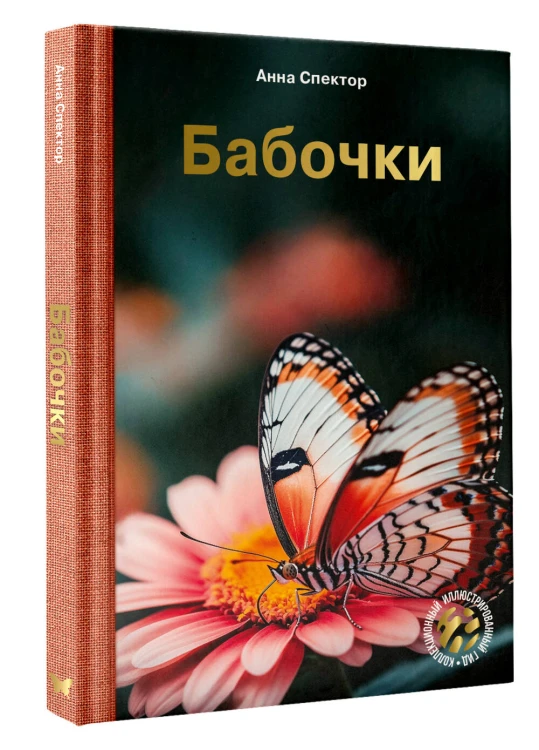 Бабочки