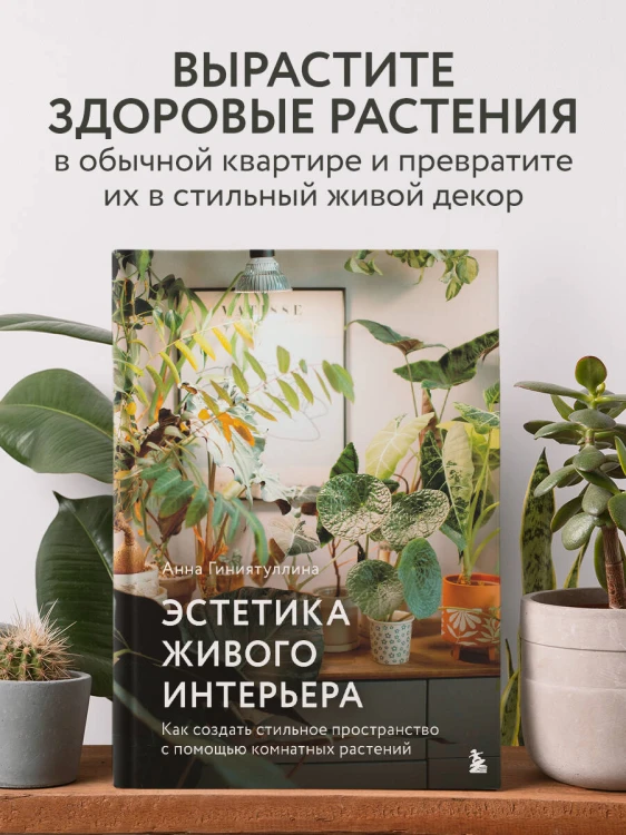 Эстетика живого интерьера. Как создать стильное пространство с помощью комнатных растений