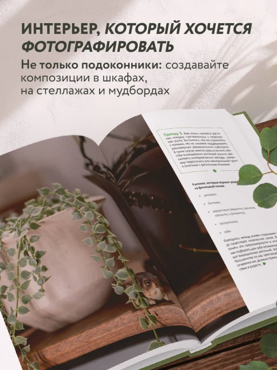 Эстетика живого интерьера. Как создать стильное пространство с помощью комнатных растений