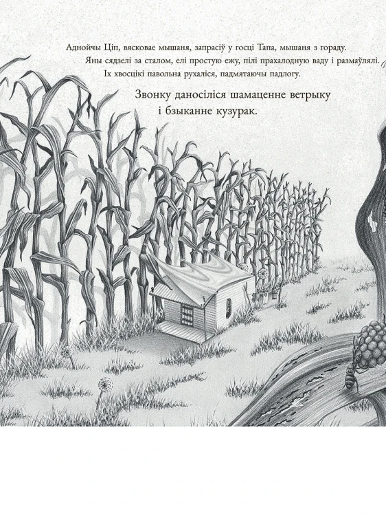 Мышаня Ціп і мышаня Тап