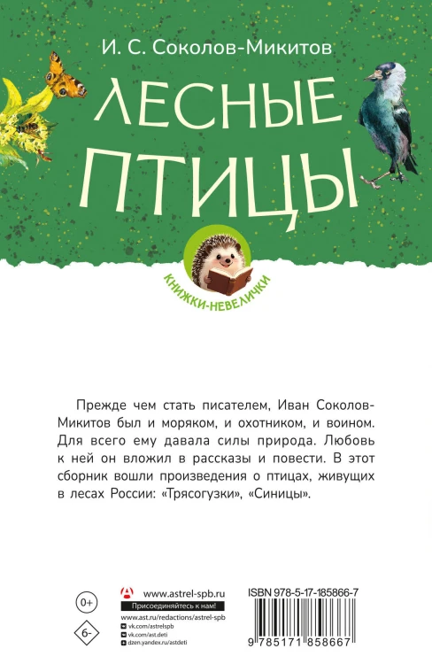Лесные птицы