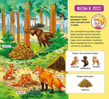 Мій перший словничок. У лісі