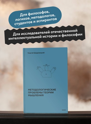 Методологические проблемы теории мышления