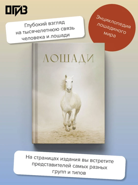 Лошади