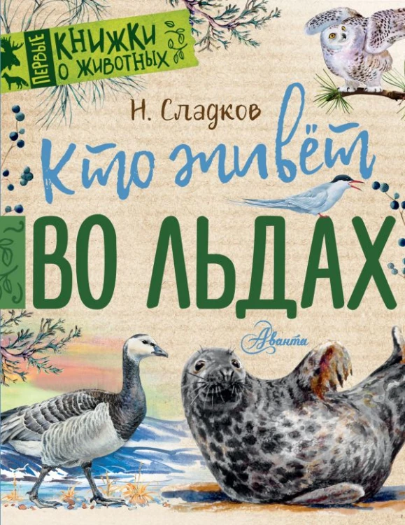 cover1__w600.jpg