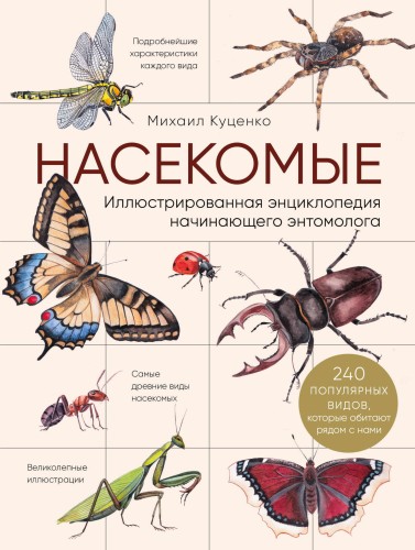Насекомые. Иллюстрированная энциклопедия начинающего энтомолога. 240 популярных видов, которые обитают рядом с нами