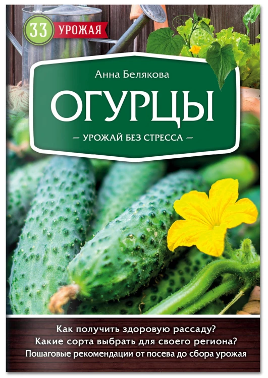 Огурцы. Урожай без стресса