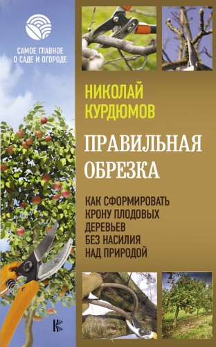 Правильная обрезка. Как сформировать крону плодовых деревьев без насилия над природой