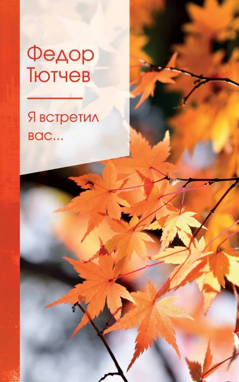 Я встретил вас...