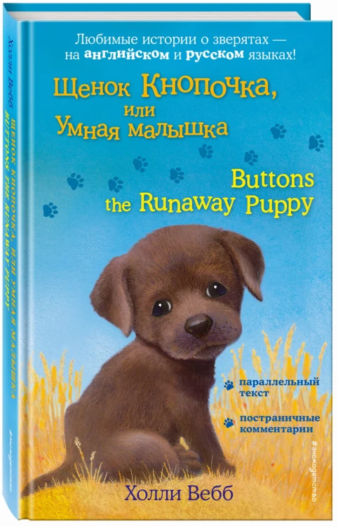 Щенок Кнопочка, или Умная малышка = Buttons the Runaway Puppy