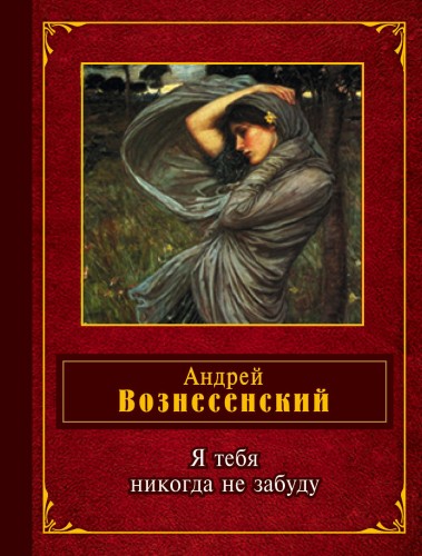 Я тебя никогда не забуду