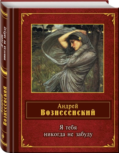 Я тебя никогда не забуду