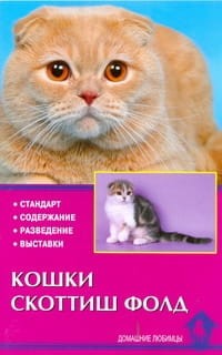 Кошки скоттиш-фолд