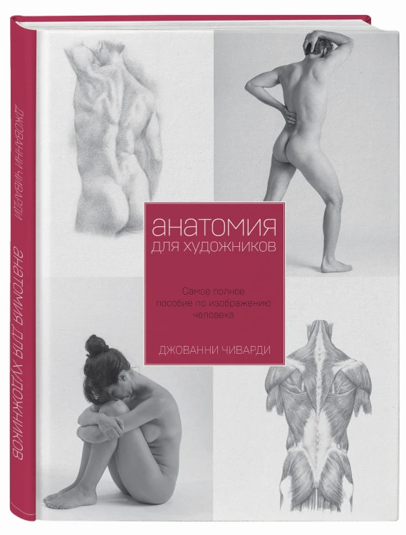 Анатомия для художника. Самое полное пособие по изображению человека