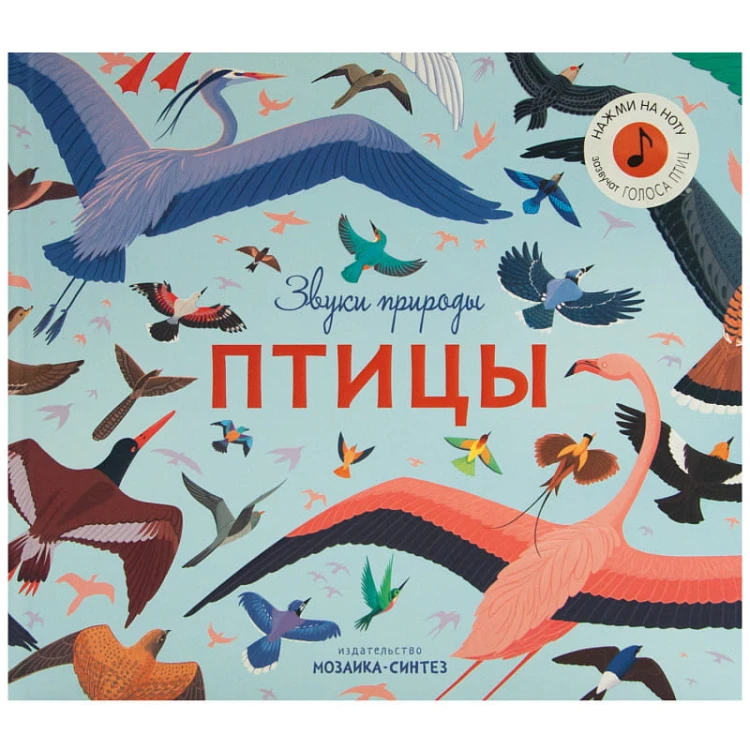 Звуки природы. Птицы