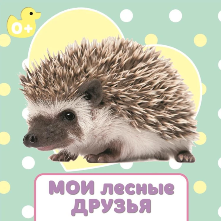 ЦК 145х145. МОИ ЛЕСНЫЕ ДРУЗЬЯ