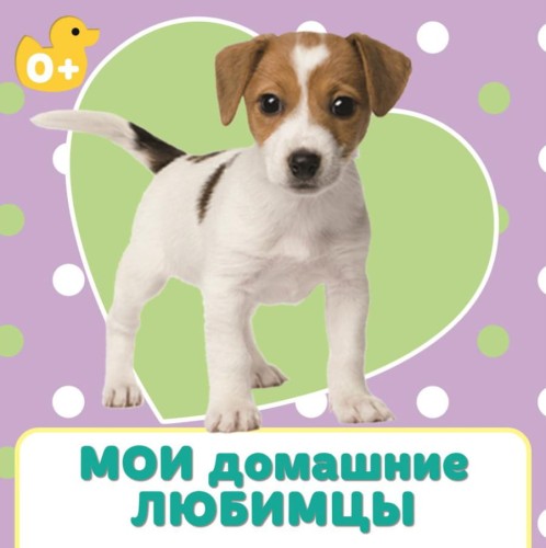 МОИ ДОМАШНИЕ ЛЮБИМЦЫ