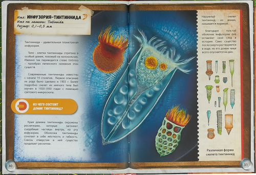 Микромир. 4D Энциклопедия в дополненной реальности