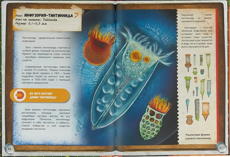Микромир. 4D Энциклопедия в дополненной реальности