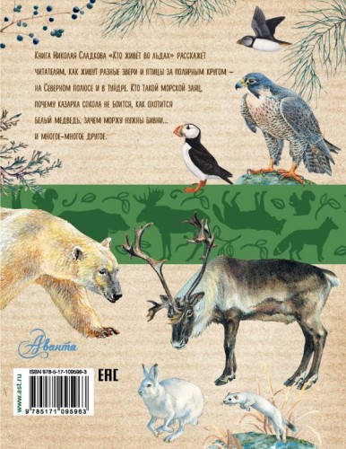 cover4__w600.jpg